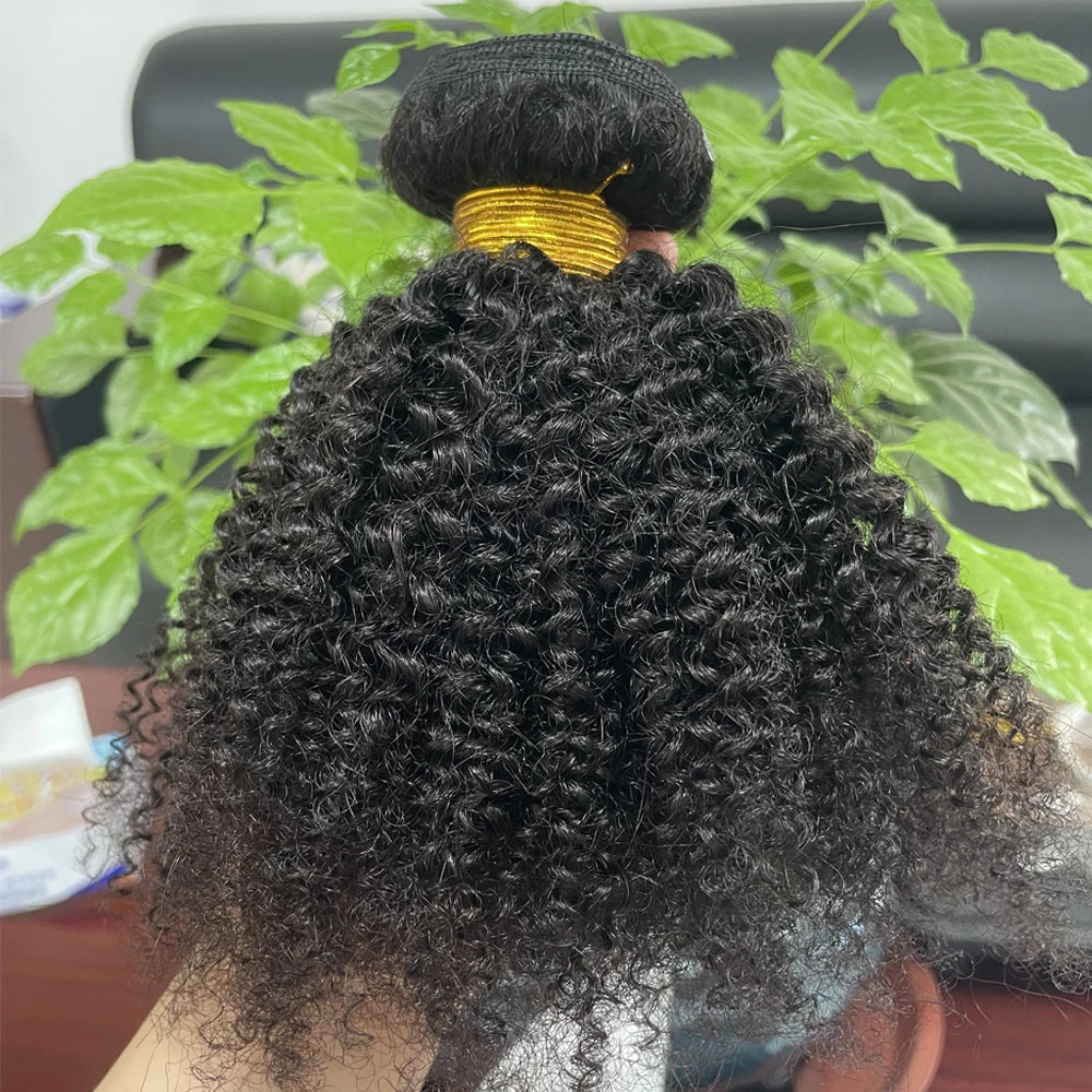 Afro Kinky Curly Bundles Brazilian 1/3 Afro Kinky Human Hair Bundles Deal 8-22" Hair Extensions Curly Human Hair Weave For Women