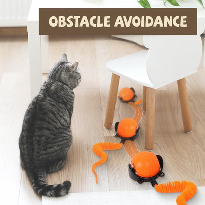 Automatic Moving Pet Ball