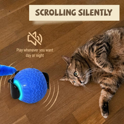 Automatic Moving Pet Ball